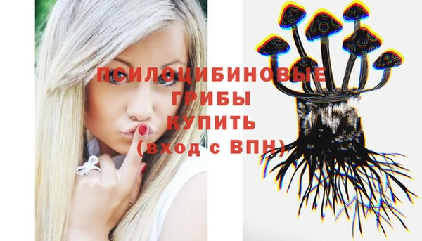 герыч Нягань